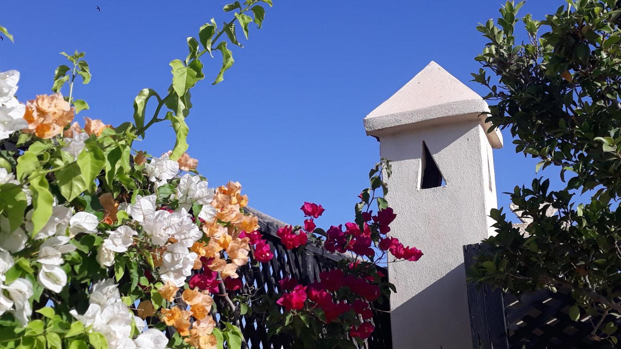 Riad Dar Zampa مراكش المظهر الخارجي الصورة