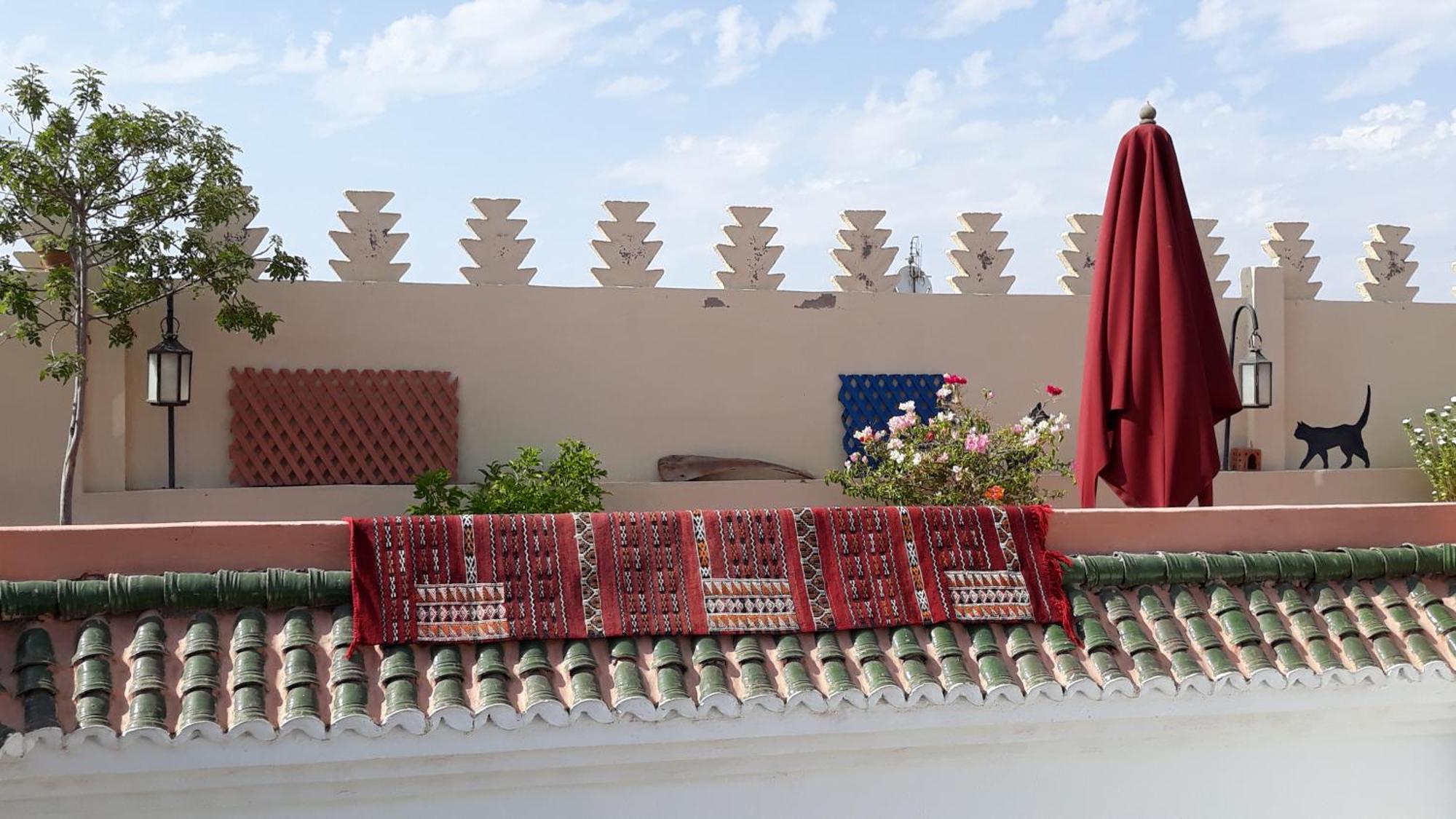 Riad Dar Zampa مراكش المظهر الخارجي الصورة